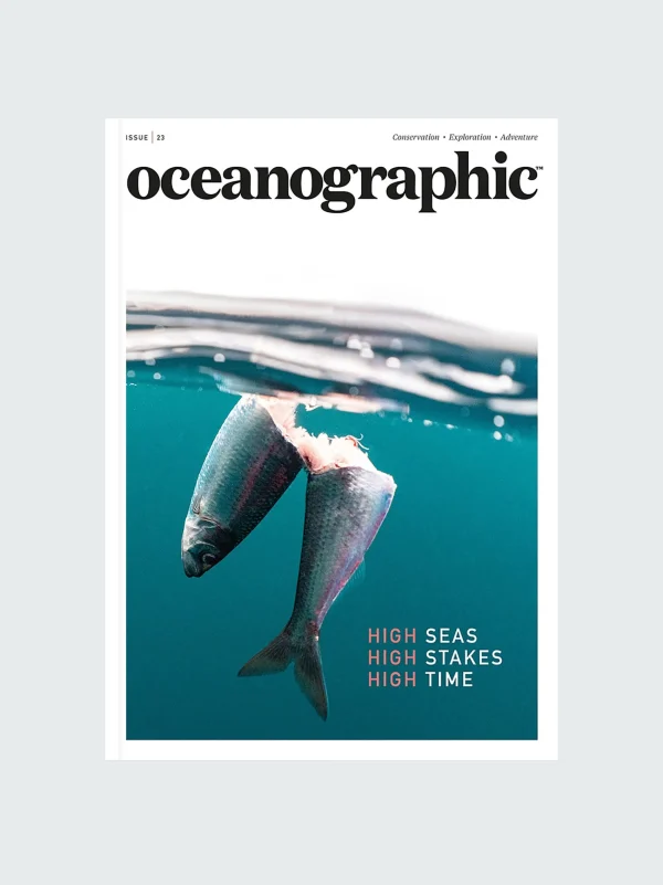 Oceanographic, Issue 23*Finisterre Fashion