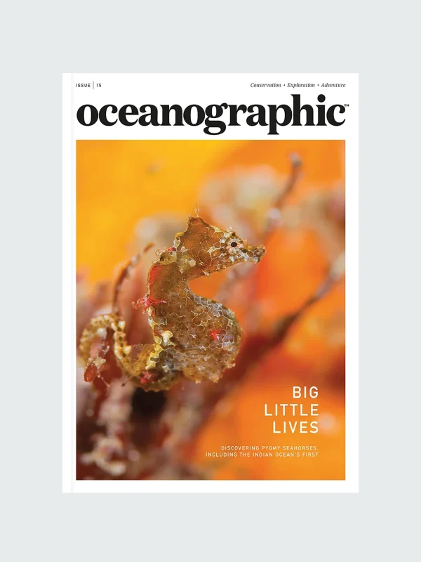 Oceanographic, Issue 15*Finisterre Flash Sale