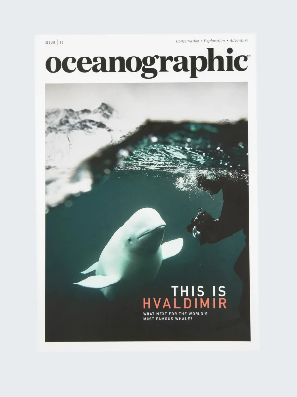 Oceanographic, Issue 13*Finisterre Shop